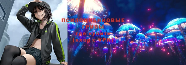 молекула духа Коряжма