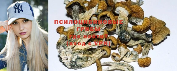 молекула духа Коряжма