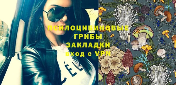 твердый Корсаков