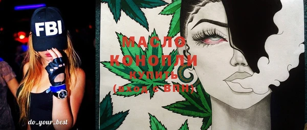 молекула духа Коряжма