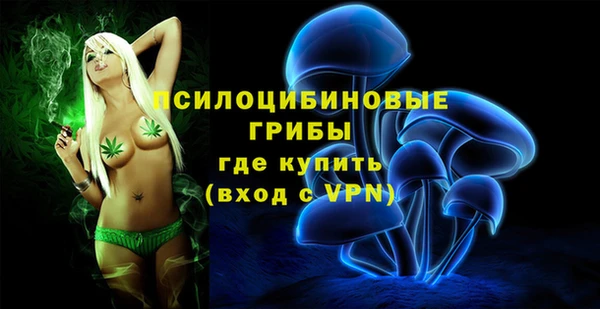 твердый Корсаков