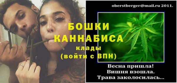 ALPHA PVP Костерёво