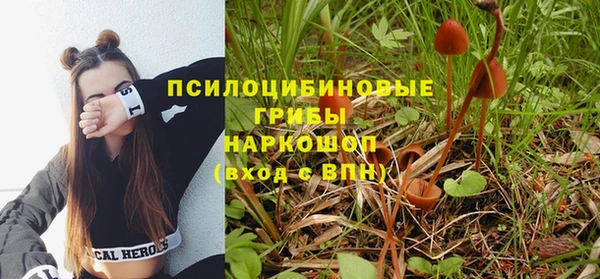 молекула духа Коряжма